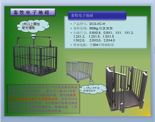 (ni)ɹŷQӣQ/ţӰ